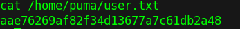 user.txt.png
